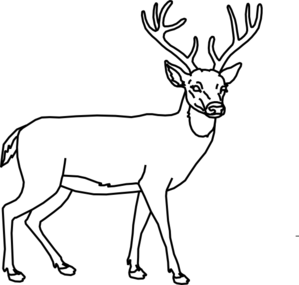 Deer outline clip.