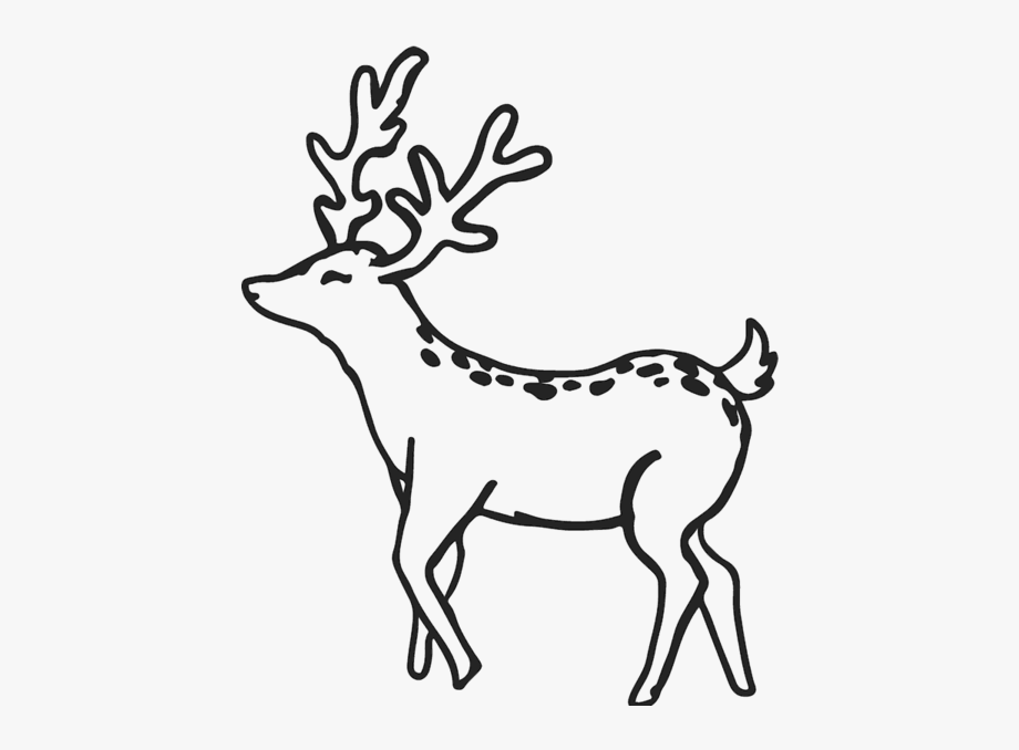 Deer outline png.