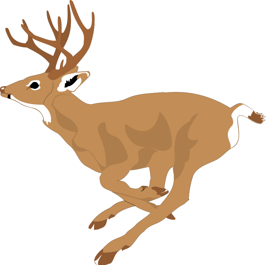 Deer Clipart for printable