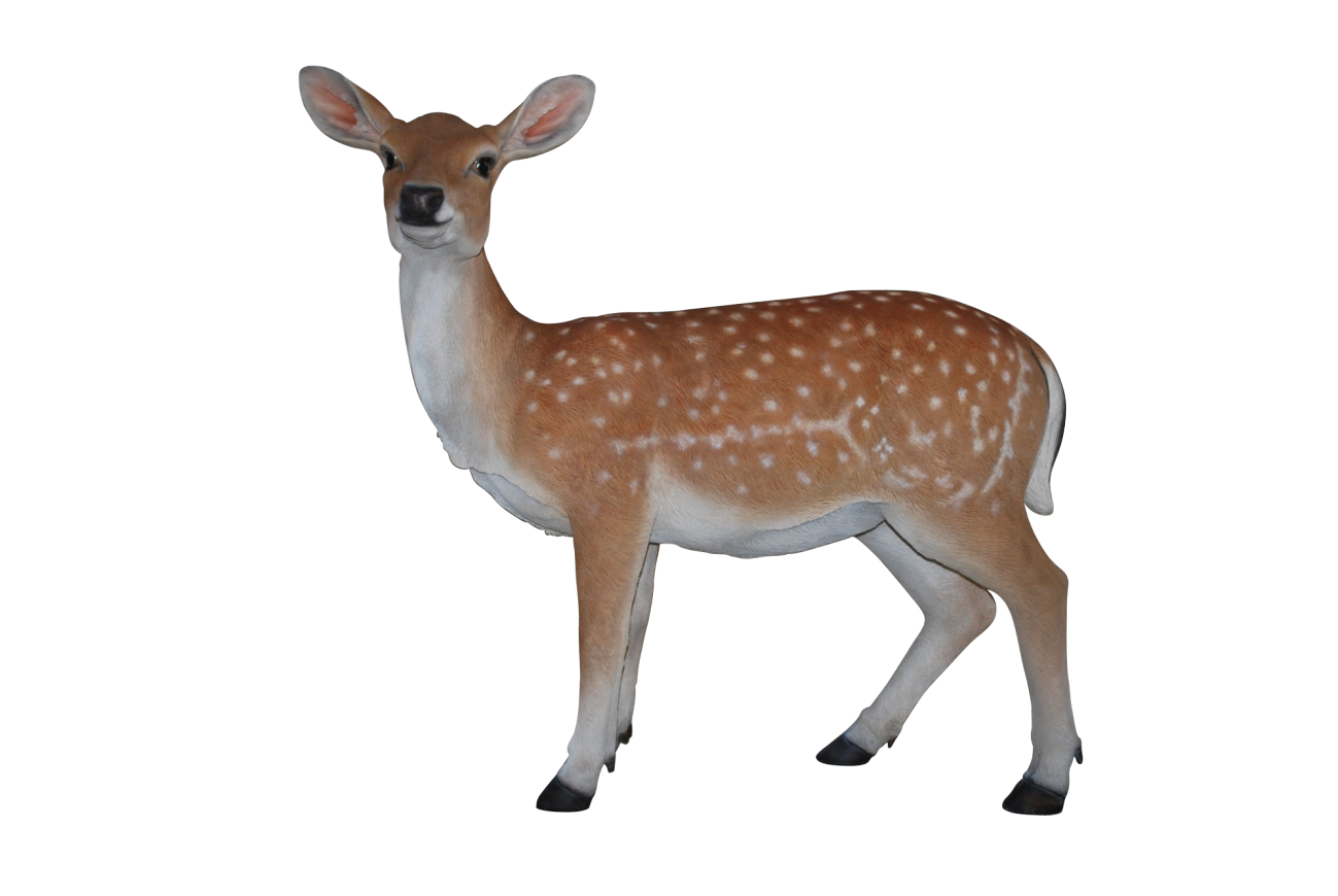 Free Deer Png, Download Free Clip Art, Free Clip Art on