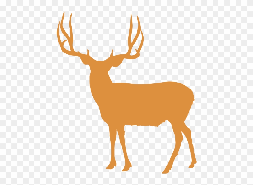 deer clipart free royalty