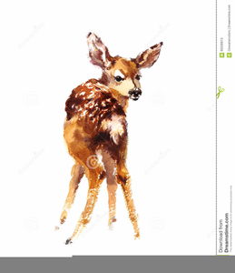Free watercolor deer.
