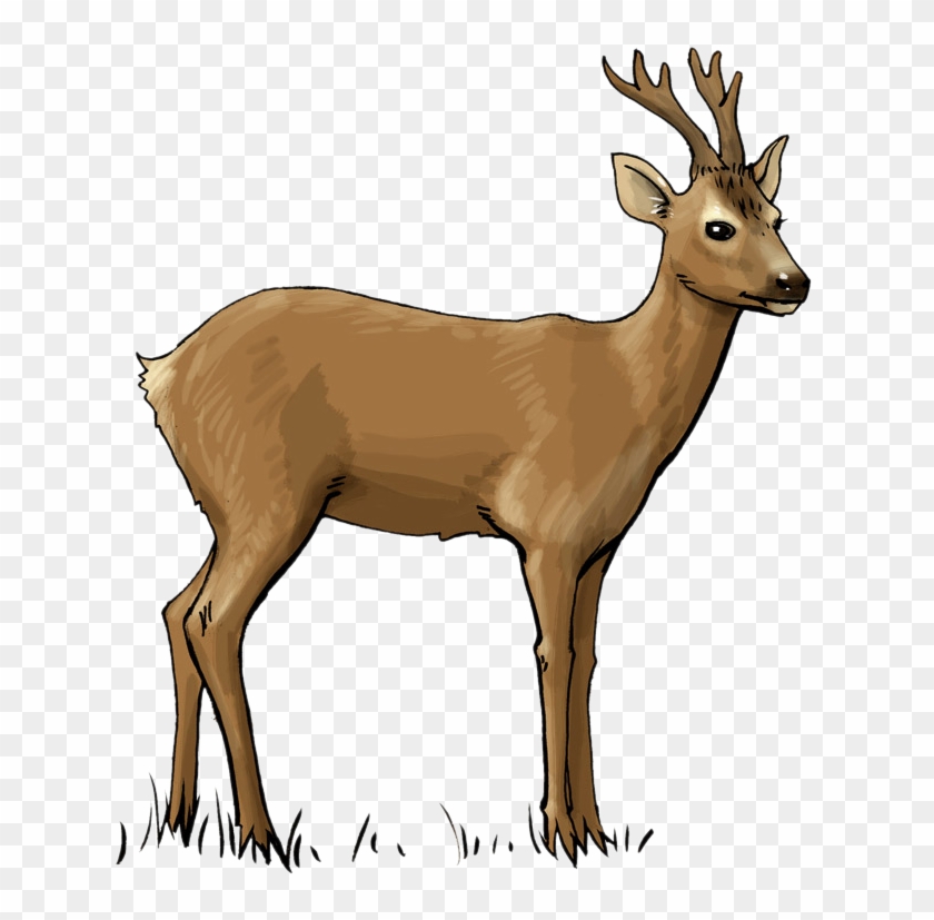Deer clip art.
