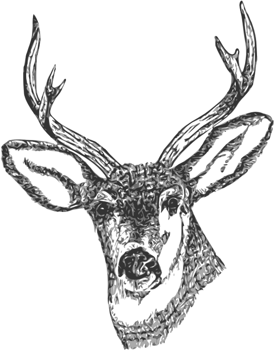 Free Clip Art Black And White Deer