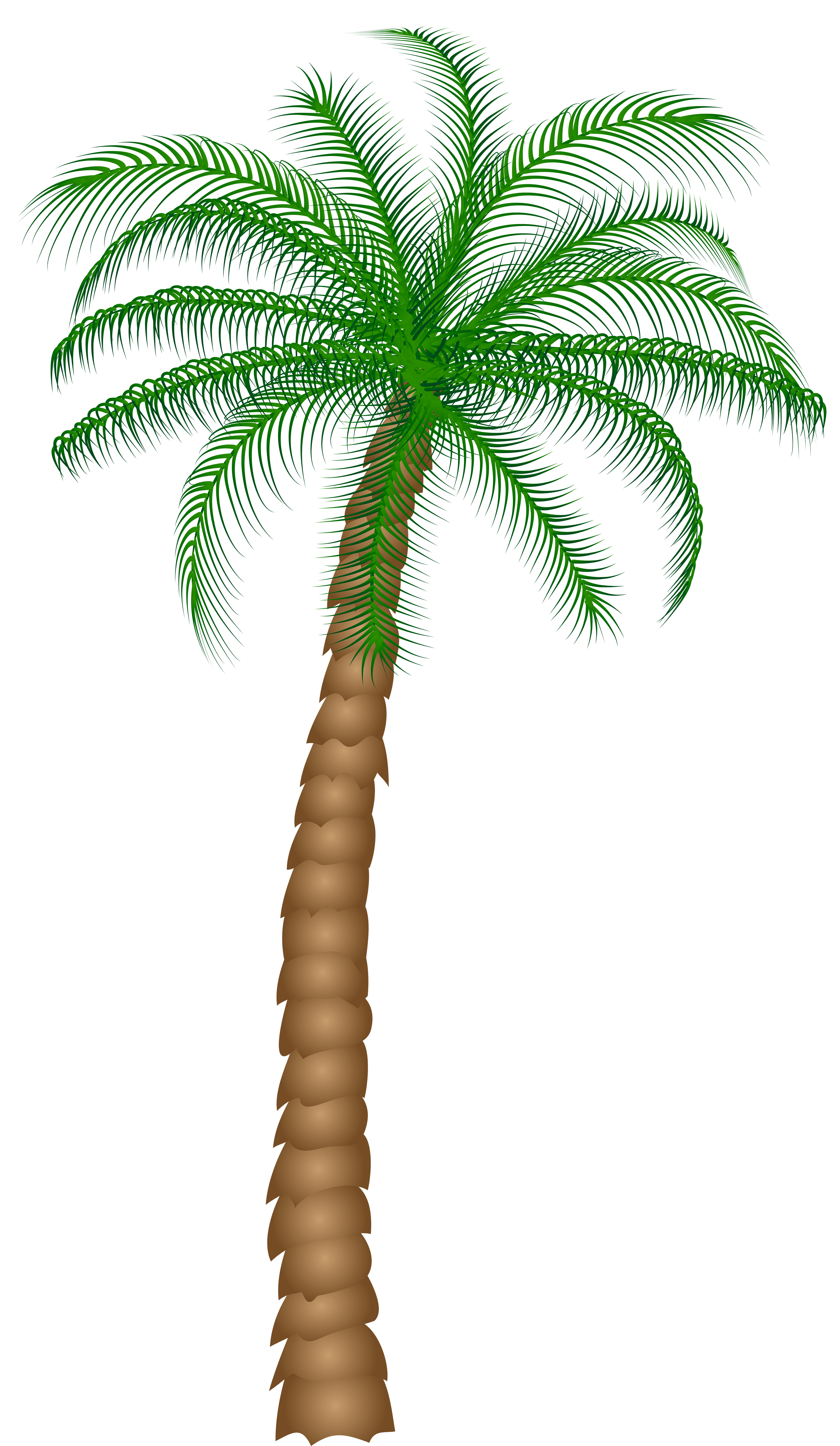 desert clipart palm tree