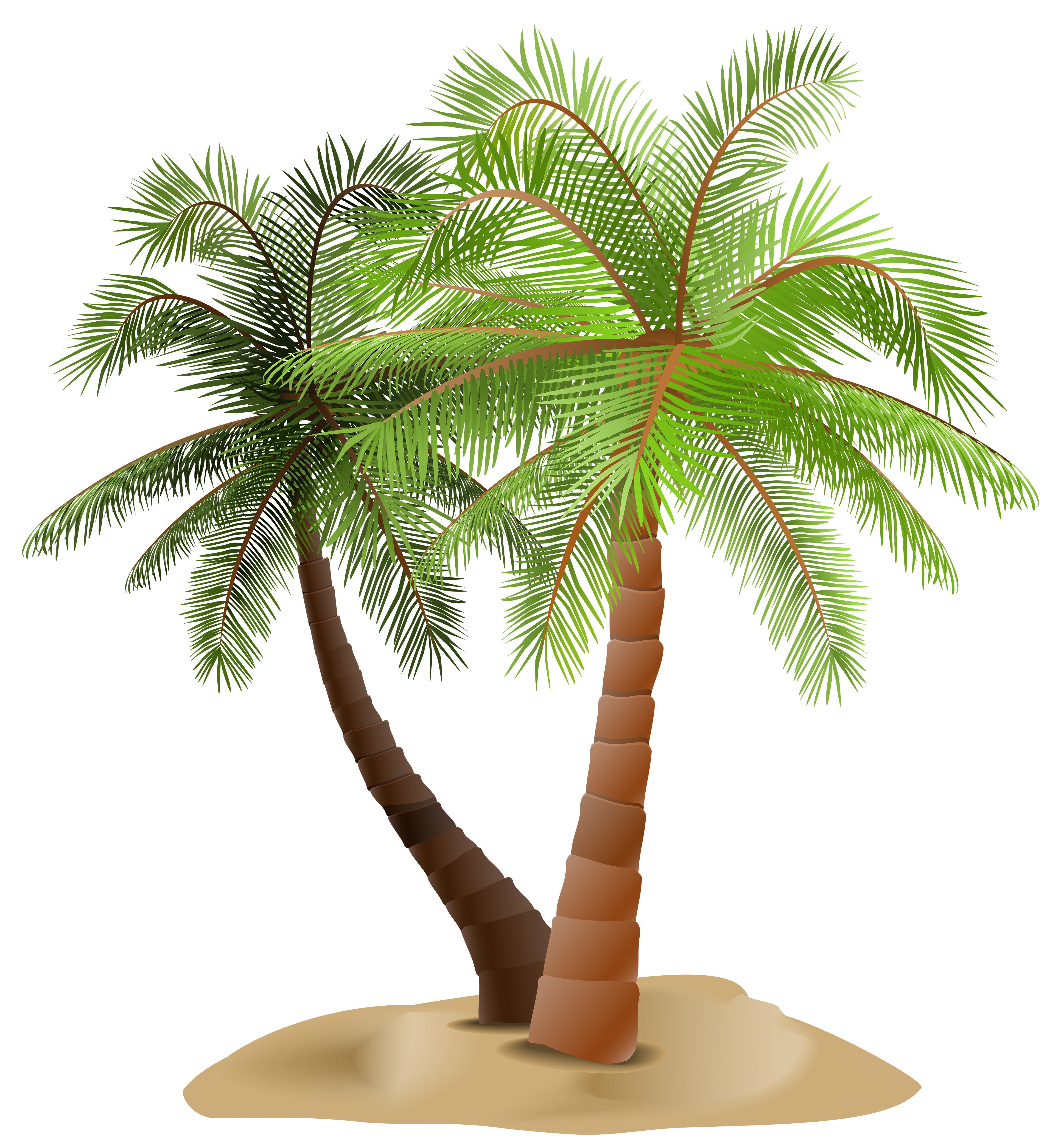 Palm tree desert.