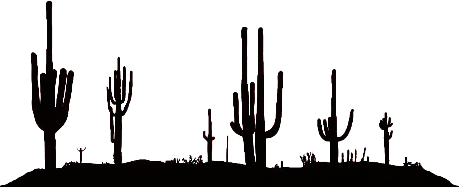 Desert silhouette png.