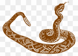 Drawn Serpent Desert Snake