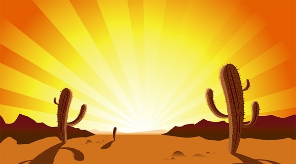 Sunset desert cactus.