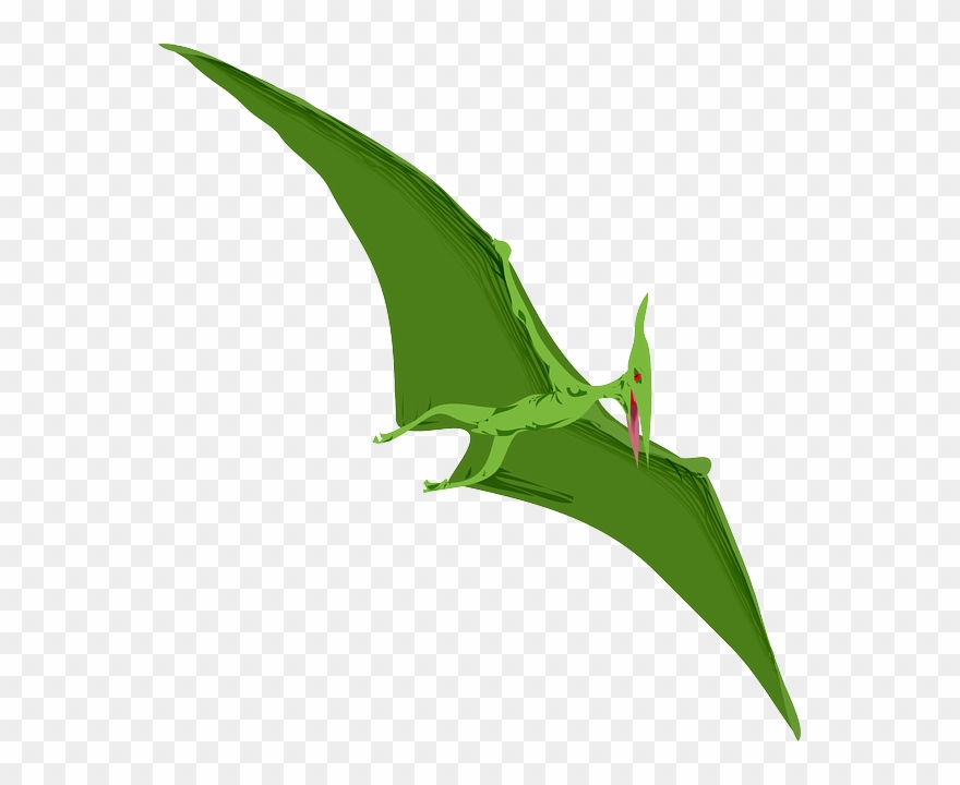 Pterodactyl clipart flying.