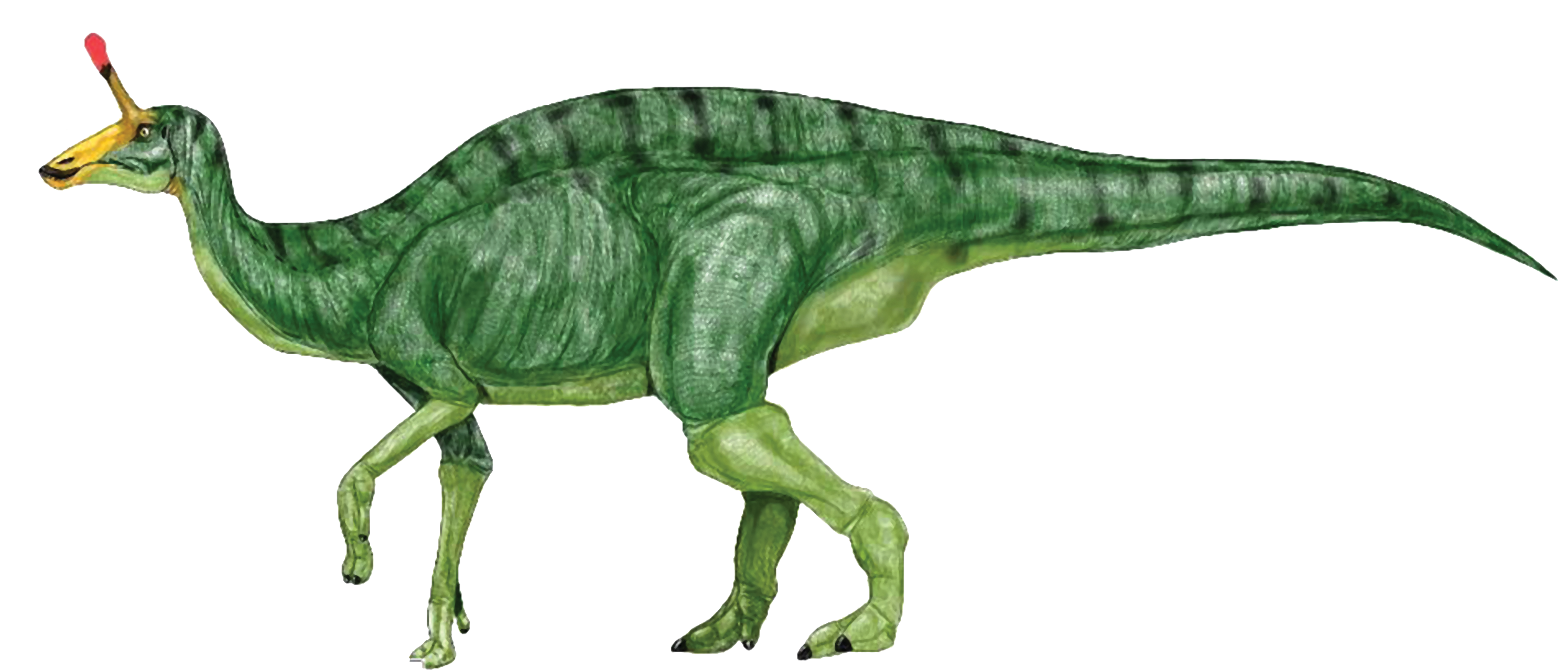 Free Realistic Dinosaur Cliparts, Download Free Clip Art