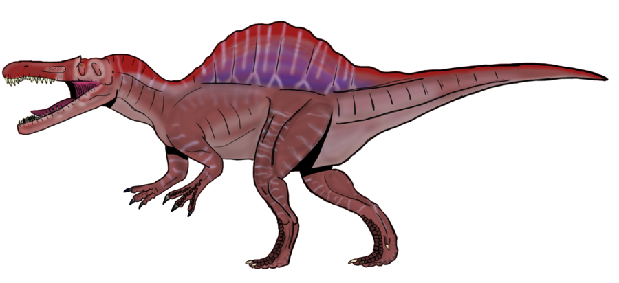 Dinosaurs clipart spinosaurus, Dinosaurs spinosaurus