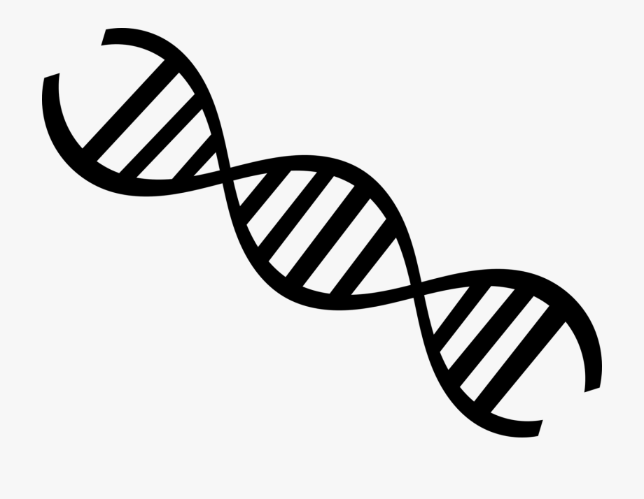 Dna Clipart Black And White