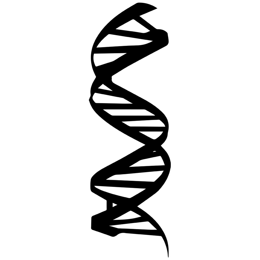 Dna clipart free.