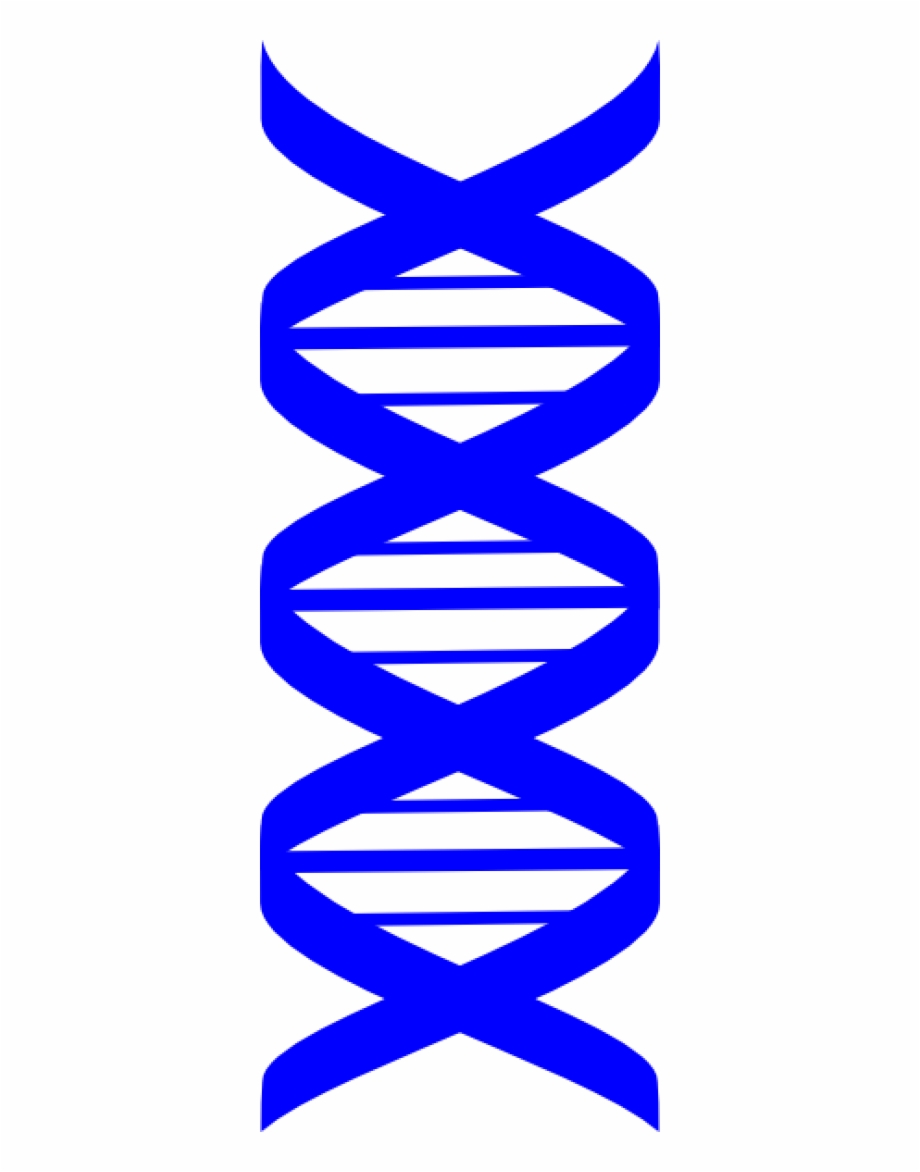 Dna Png, Download Png Image With Transparent Background