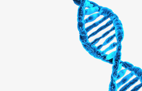 Download Free png Blue Life Dna, Dna Clipart, Blue, Life PNG