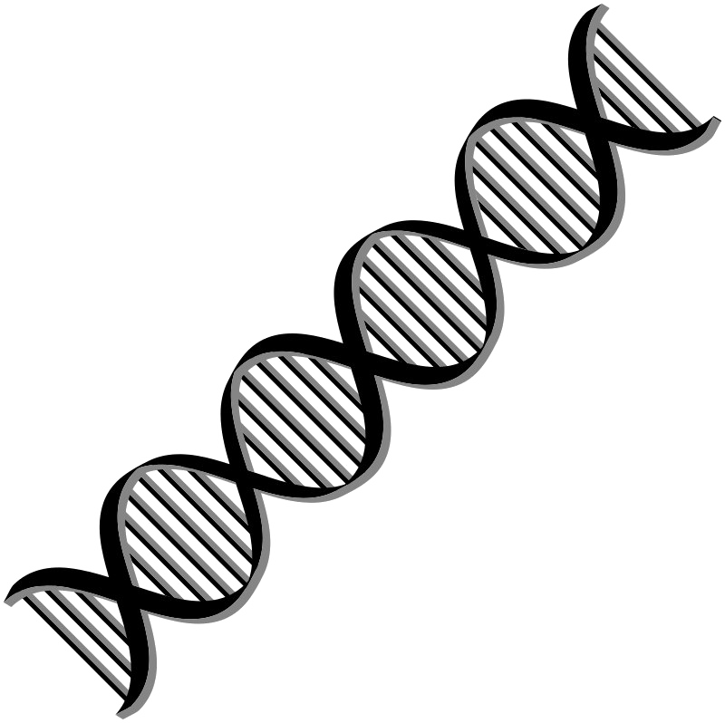 Dna png images.