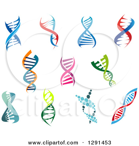 Clipart of Colorful Dna Double