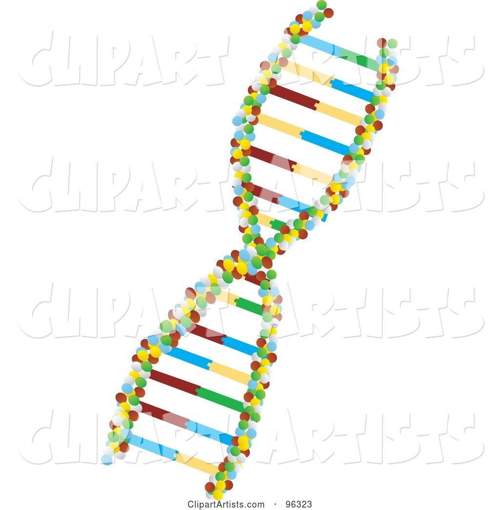 Twist colorful dna.