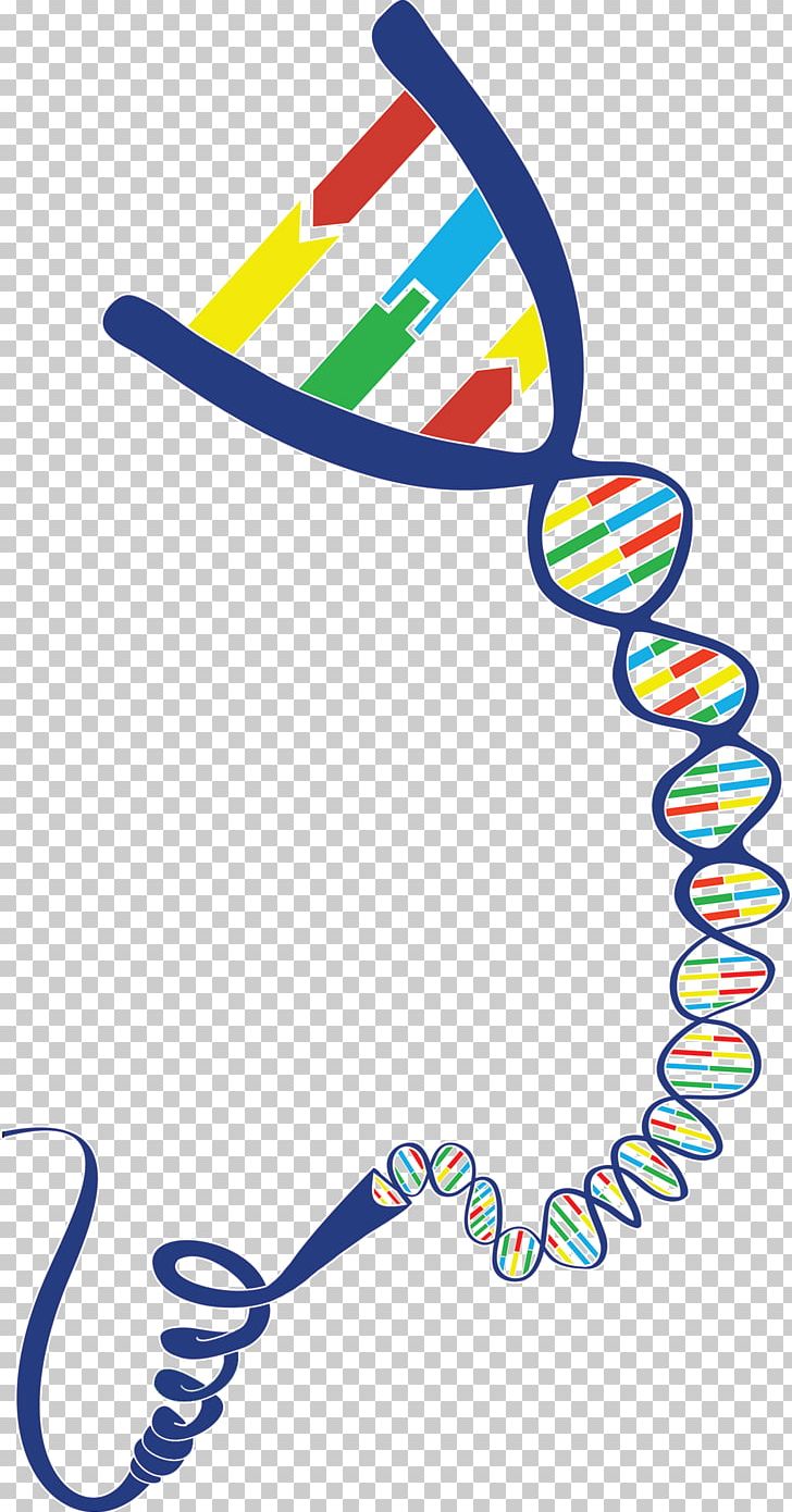 DNA Geneious Gene