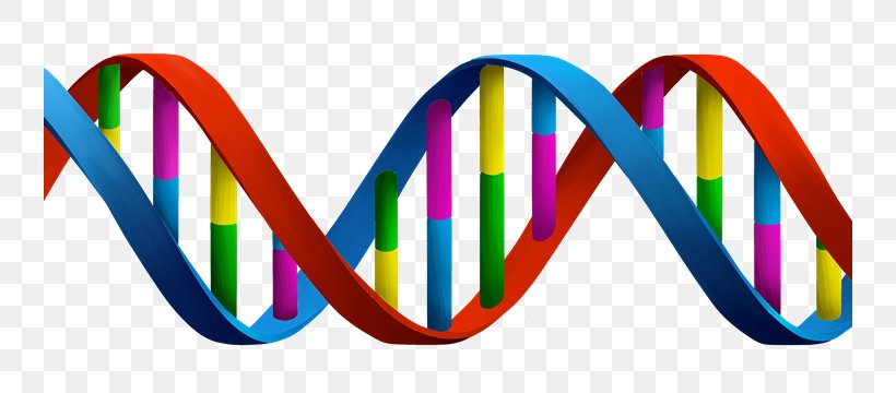 DNA Cell Vector Gene Clip Art, PNG,