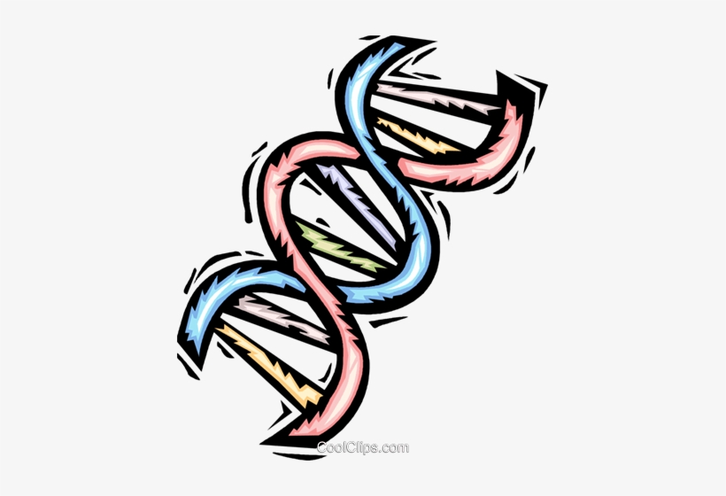 Dna royalty free.