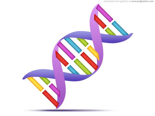 Dna icon freebies.