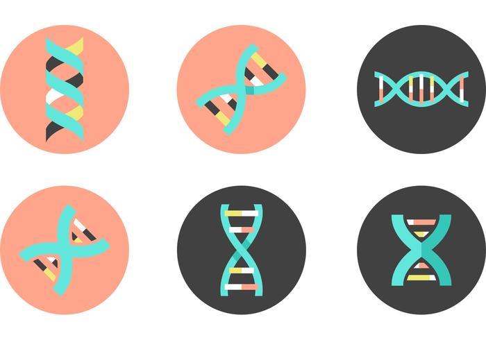 Dna Double Helix Vector Icons