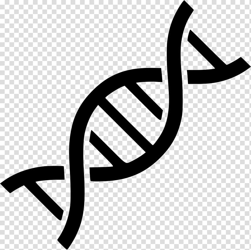 Black DNA illustration, Computer Icons DNA Genetics Nucleic