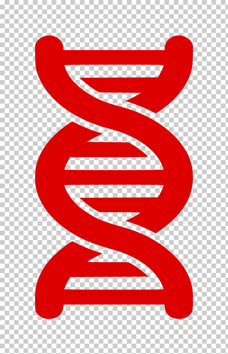 DNA Nucleic acid double helix Computer Icons Black and white