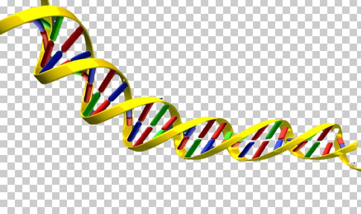 DNA Nucleic Acid Double Helix PNG, Clipart, Clipart, Clip