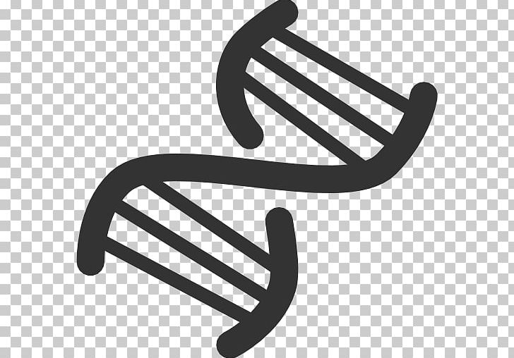 DNA Nucleic Acid Double Helix ICO Icon PNG, Clipart, Angle