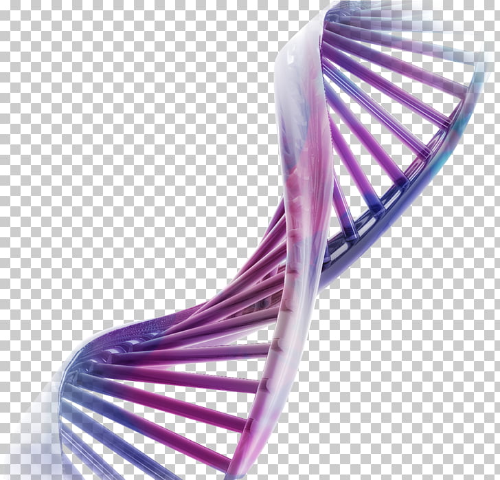 Recombinant DNA Desktop Genetics Chromosome, DNA, purple and
