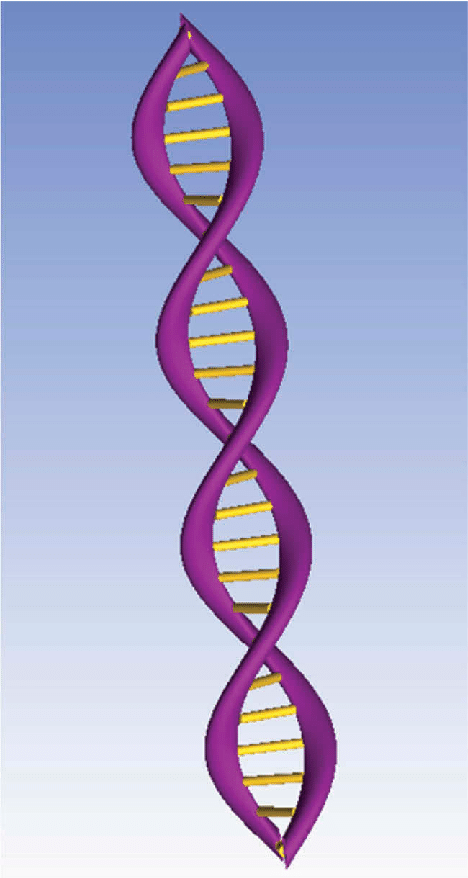 3D DNA double