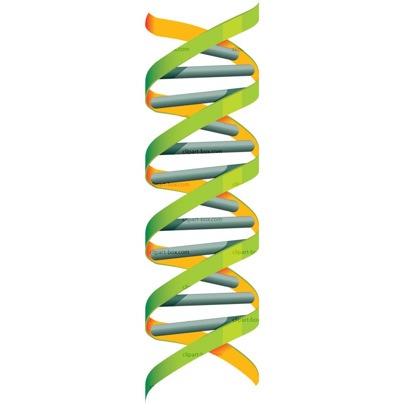Free dna cliparts.