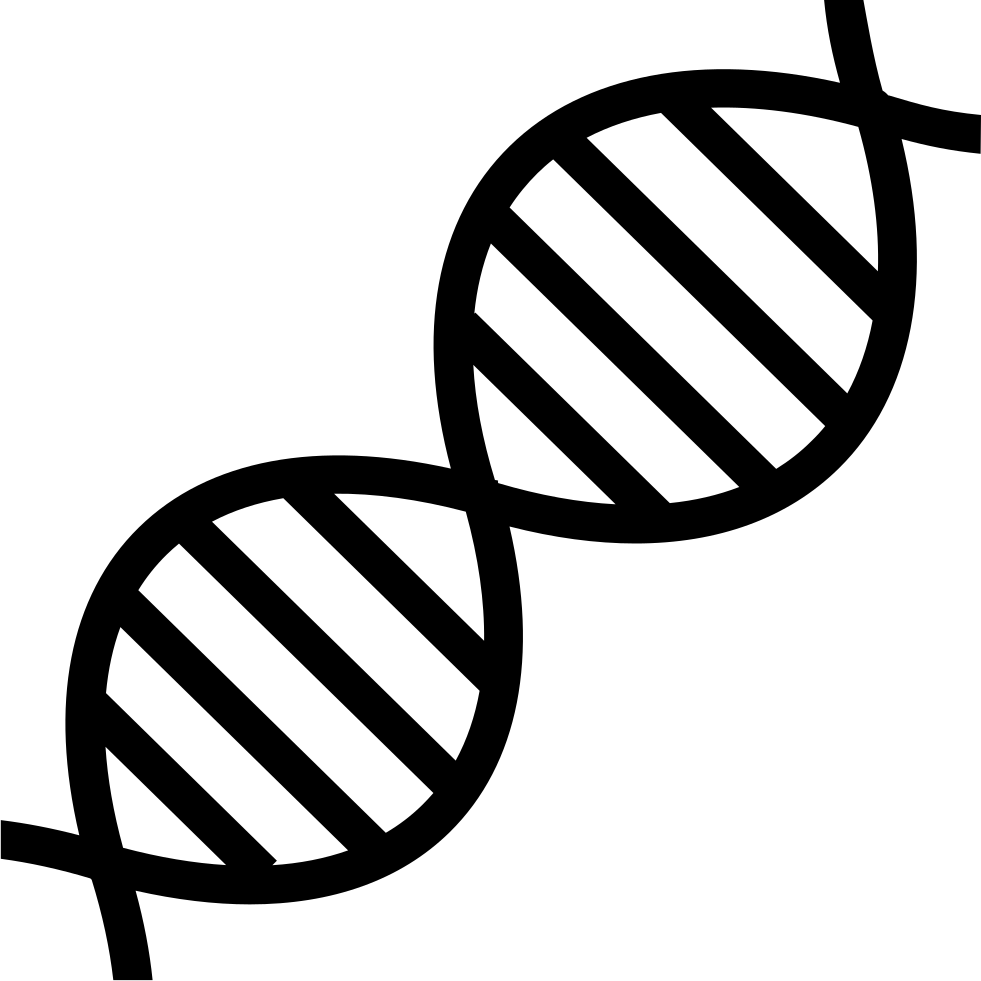 DNA Clip art Genetics Nucleic acid double helix