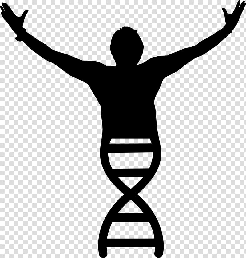 Molecular biology DNA , victory transparent background PNG