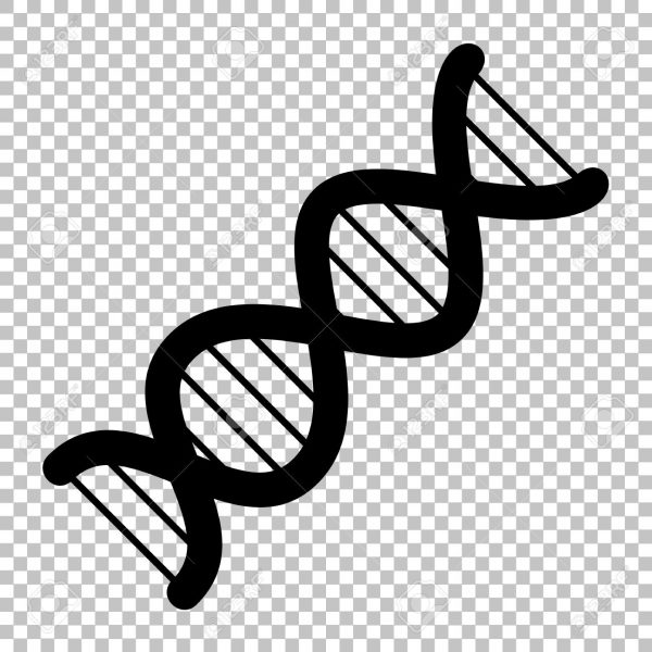 The Dna Sign