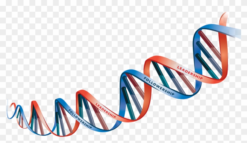 Dna Png Transparent Picture