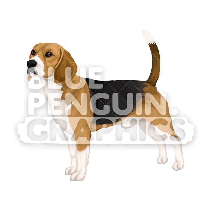 Beagle dog version.