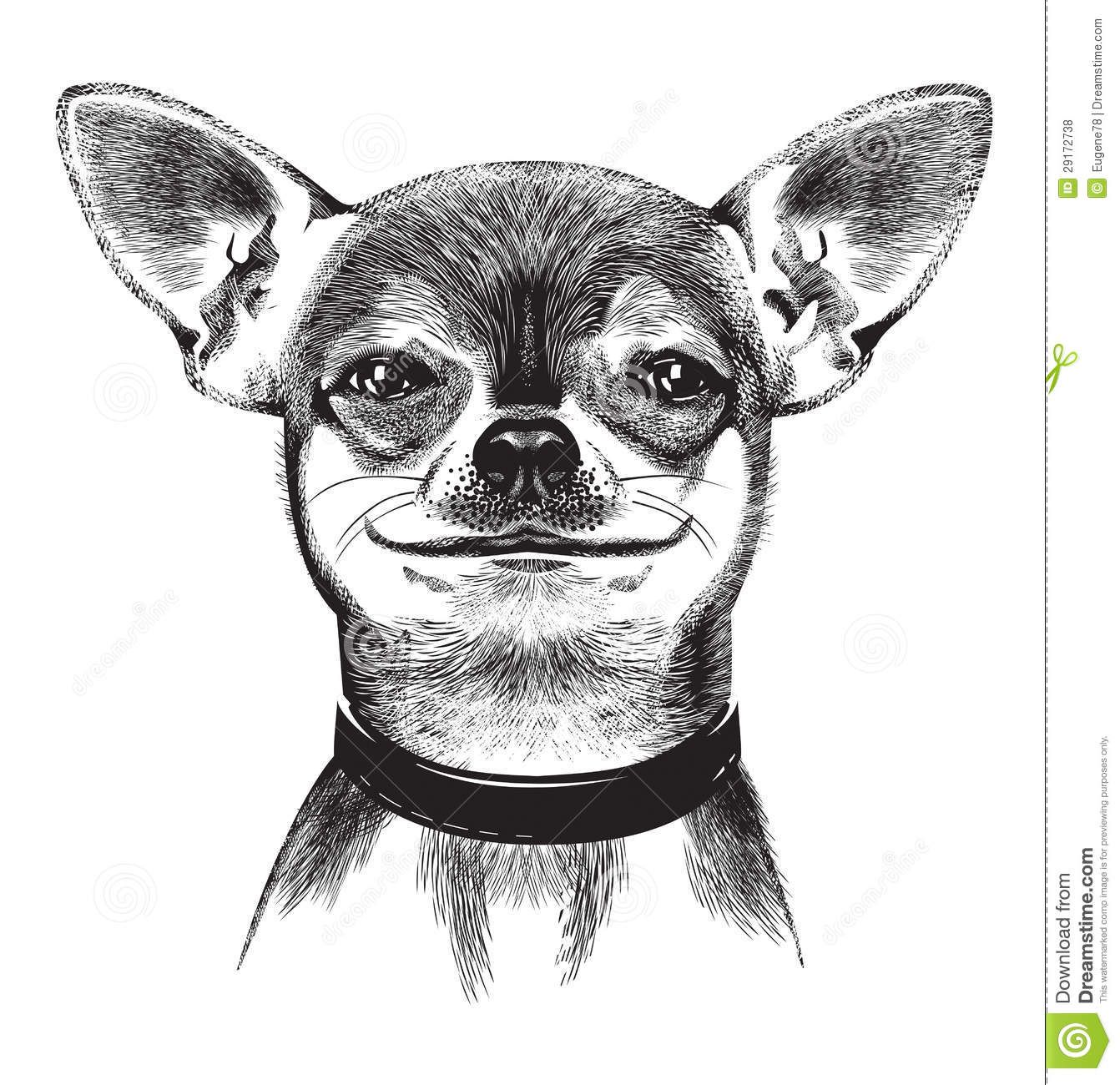 Cartoon chihuahua dog.