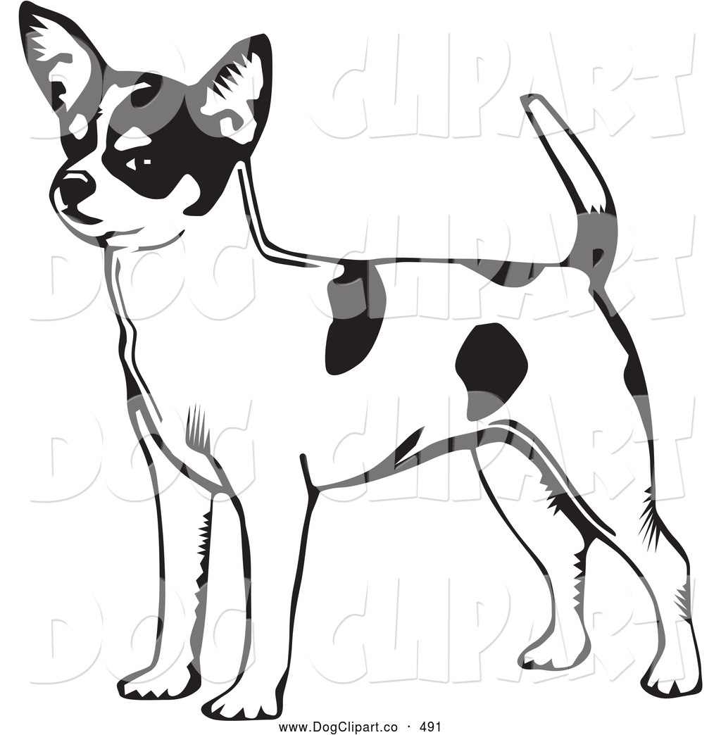 Chihuahua Clipart