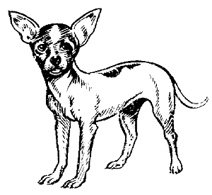 Free Black Chihuahua Cliparts, Download Free Clip Art, Free