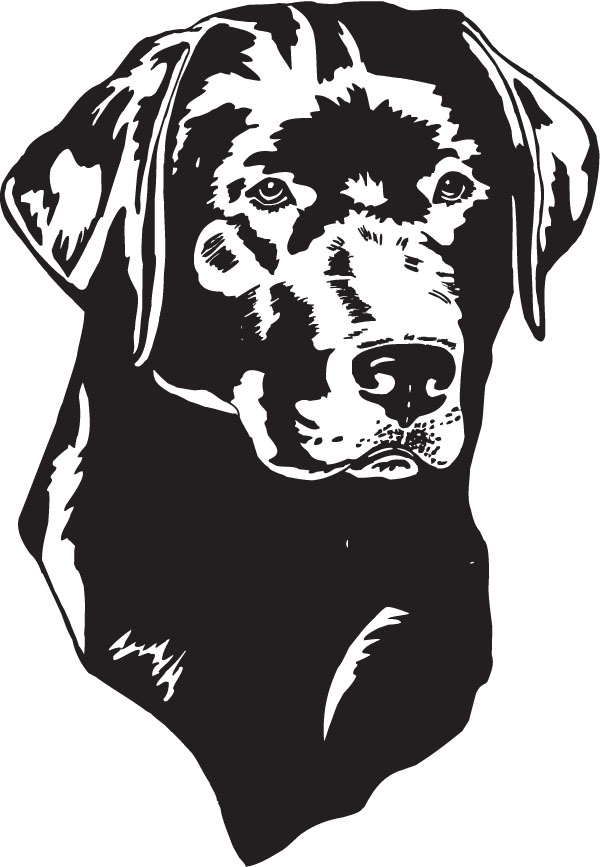 Free Labrador Cliparts, Download Free Clip Art, Free Clip