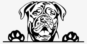 Pitbull Dog PNG, Transparent Pitbull Dog PNG Image Free