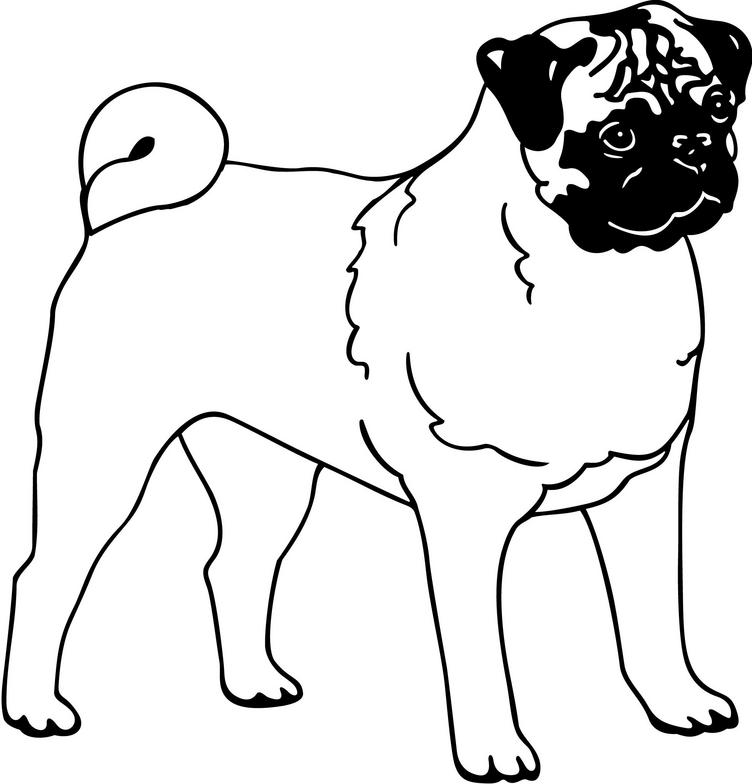 dog clipart black and white pug
