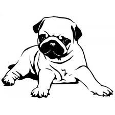 Collection pug clipart.