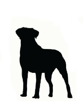 Silhouette large dog.