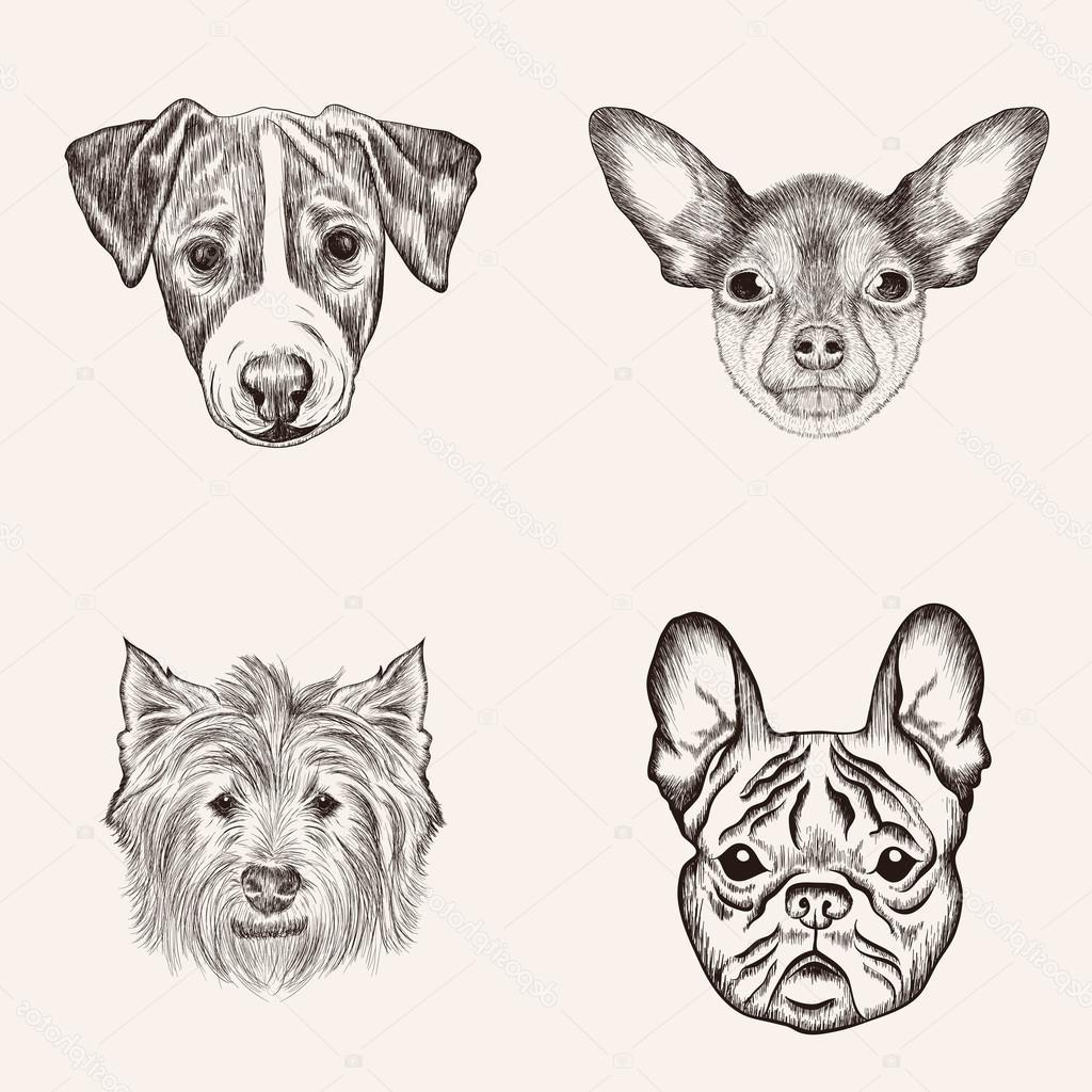 Best Free Realistic Dog Face Line Art Vector Library
