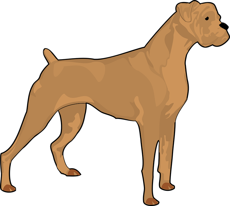Dogs realistic clipart.